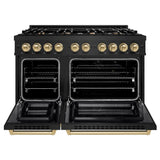 Autograph Edition 48 in. 6.7 cu. ft. Select Double Oven Dual Fuel Range with 8 Burner Gas Cooktop - (HDRBZ48CB) -