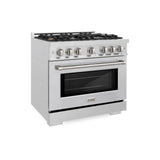 ZLINE 36 in. 5.2 cu. ft. Select Dual Fuel Range with Gas Cooktop and Electric Convection Oven in DuraSnow® Stainless Steel with 6 Brass Burners (HDRS-BR-36) - (HDRSBR36) -