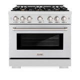 ZLINE 36 in. 5.2 cu. ft. Select Dual Fuel Range with Gas Cooktop and Electric Convection Oven in DuraSnow® Stainless Steel with 6 Brass Burners (HDRS-BR-36) - (HDRSBR36) -