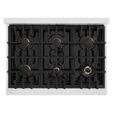ZLINE 36 in. 5.2 cu. ft. Select Dual Fuel Range with Gas Cooktop and Electric Convection Oven in DuraSnow® Stainless Steel with 6 Brass Burners (HDRS-BR-36) - (HDRSBR36) -