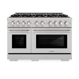 ZLINE 48 in. 6.7 cu. ft. Select Double Oven Dual Fuel Range in DuraSnow® Stainless Steel with 8 Brass Burners (HDRS-BR-48) - (HDRSBR48) -