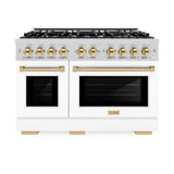 Autograph Edition 48 in. 6.7 cu. ft. Select Double Oven Dual Fuel Range with 8 Burner Gas Cooktop - (HDRZWM48G) -