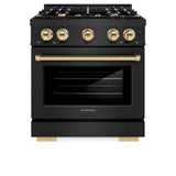 Autograph Edition 30 in. 4.2 cu. ft. Select Gas Range with 4 Burner Cooktop and Convection Gas Oven - (HGRBZ30G) -