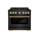 Autograph Edition 36 in. 5.2 cu. ft. Select Gas Range with 6 Burner Cooktop and Convection Gas Oven - (HGRBZ36G) -