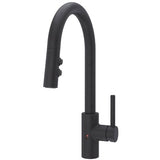 Pfister PLG529ESAB "Stellen" Pull-Out Spray Kitchen Faucet