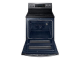 5.9 cu ft. Smart Freestanding Electric Range with Flex Duo & Dual Door - (NE59M6850SGAA)