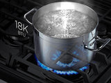 5.8 cu. ft. Slide-In Gas Range with True Convection - (NX58K9500WGAA)