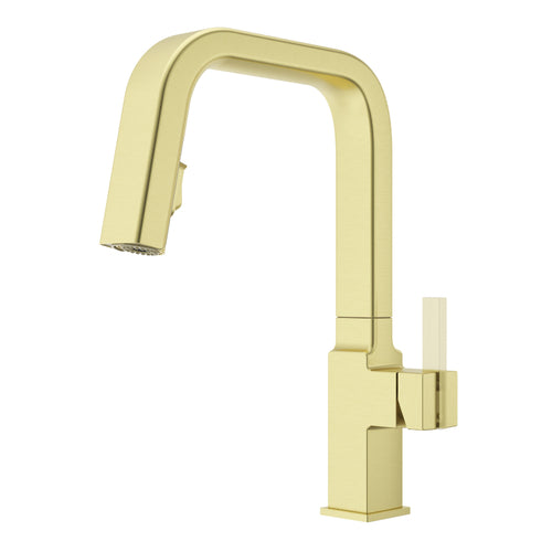 Pfister PGT529VRVBG "Verve" Pull-Out Spray Kitchen Faucet