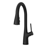Pfister PLG529NEB "Neera" Pull-Out Spray Kitchen Faucet