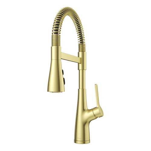 Pfister PLG529NECBG "Neera" Pull-Out Spray Kitchen Faucet