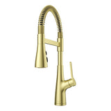 Pfister PLG529NECBG "Neera" Pull-Out Spray Kitchen Faucet
