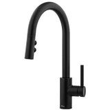 Pfister PLG529SAB "Stellen" Pull-Out Spray Kitchen Faucet