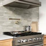 ZLINE 36 in. 5.2 cu. ft. Paramount Dual Fuel Range with 6 Burner DuoPro™ Cooktop and Electric Convection Oven in Stainless Steel (PSDR36) - (PSDR36) -