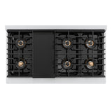 ZLINE 48 in. 6.7 cu. ft. Paramount Dual Fuel Range with 8 Burner DuoPro™ Cooktop and Dual Ovens in Stainless Steel (PSDR48) - (PSDR48) -