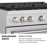 ZLINE 36 in. 5.2 cu. ft. Paramount Dual Fuel Range with 6 Burner DuoPro™ Cooktop and Electric Convection Oven in Black Stainless Steel (PSDRB-36) - (PSDRB36) -