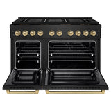 Autograph Edition 48 in. 6.7 cu. ft. Paramount Dual Fuel Range with 8 Burner DuoPro™ Cooktop and Dual Ovens - (PSDRBZ48CB) -