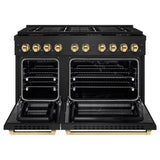 Autograph Edition 48 in. 6.7 cu. ft. Paramount Dual Fuel Range with 8 Burner DuoPro™ Cooktop and Dual Ovens - (PSDRBZ48G) -