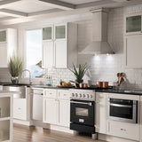 ZLINE 24 in. 2.8 cu. ft. Legacy Induction Range with 4 Element Cooktop and Electric Oven in Satin Stainless Steel and Black Matte Door (RAINDS-BLM-24) - (RAINDSBLM24) -