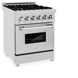 24" 2.8 cu. ft. Dual Fuel Range with Gas Stove and Electric Oven in DuraSnow® (RAS-24) - DuraSnow® With Brass Burners - (RASSNBR24) -