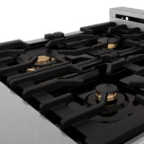 24" 2.8 cu. ft. Dual Fuel Range with Gas Stove and Electric Oven in DuraSnow® (RAS-24) - DuraSnow® With Brass Burners - (RASSNBR24) -