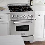 24" 2.8 cu. ft. Dual Fuel Range with Gas Stove and Electric Oven in DuraSnow® (RAS-24) - DuraSnow® With Brass Burners - (RASSNBR24) -