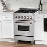 24" 2.8 cu. ft. Dual Fuel Range with Gas Stove and Electric Oven in DuraSnow® (RAS-24) - DuraSnow® With Brass Burners - (RASSNBR24) -