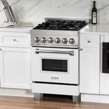 24" 2.8 cu. ft. Dual Fuel Range with Gas Stove and Electric Oven in DuraSnow® Stainless Steel (RAS-24) - DuraSnow® With Matte Door - (RASWM24) -