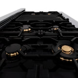 AutographEdition 48 in. 6.0 cu. ft. Dual Fuel Range with Gas Stove and Electric Oven in Fingerprint Resistant Stainless Steel with Black Matte Door and Champagne Bronze Accents - (RASZBLM48CB) -