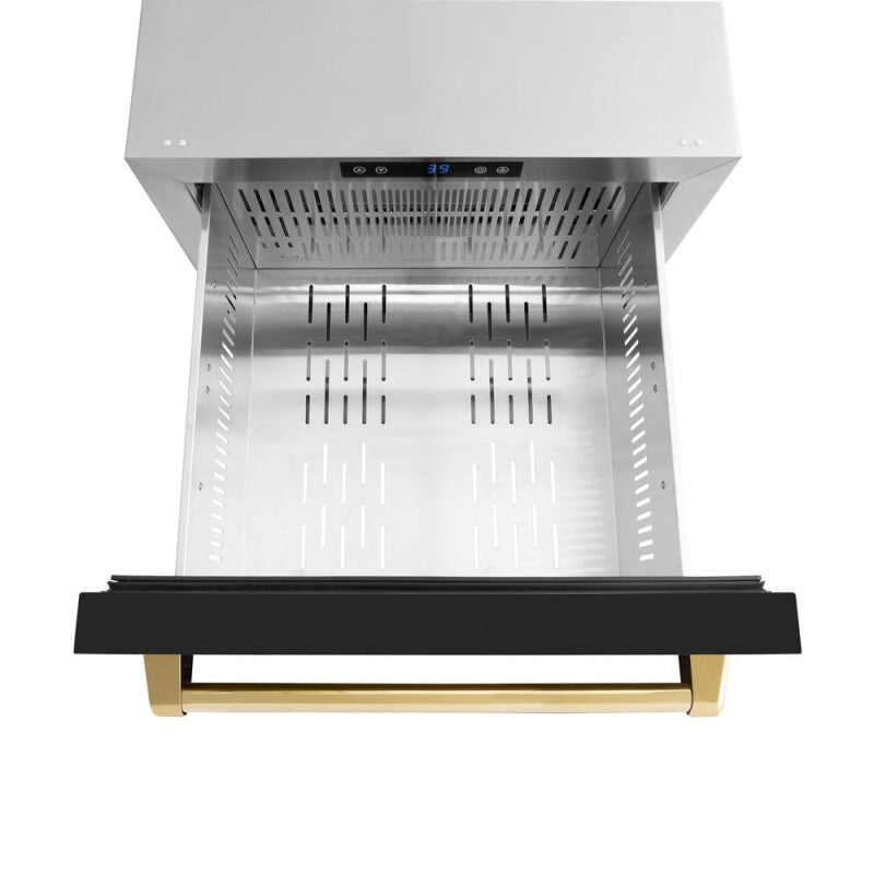 Autograph Edition 24 in. Touchstone 168 Can Outdoor-Rated Dual Refrigerator Drawer with Black Matte Doors and Polished Gold Handles - (RDSOZBLM24G) -