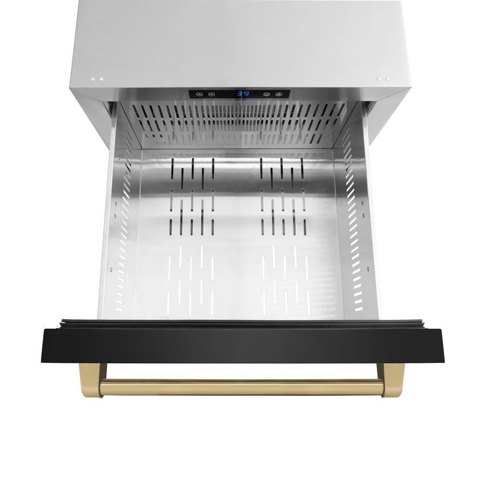 ZLINE Autograph Edition 24 in. Touchstone 168 Can Outdoor-Rated Dual Refrigerator Drawer with Black Stainless Steel Doors and Champagne Bronze Handles (RDSOZ-BS-24-CB) - (RDSOZBS24CB) -