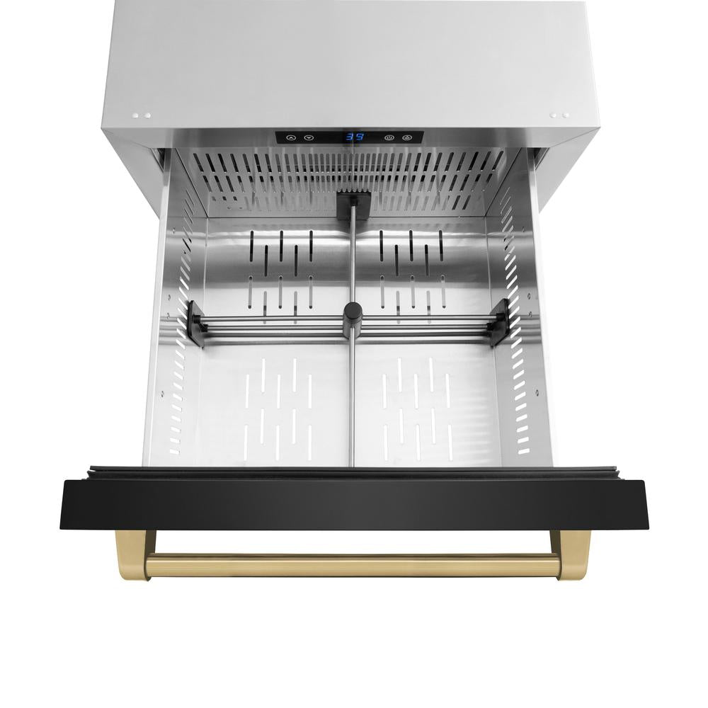 ZLINE Autograph Edition 24 in. Touchstone 168 Can Outdoor-Rated Dual Refrigerator Drawer with Black Stainless Steel Doors and Champagne Bronze Handles (RDSOZ-BS-24-CB) - (RDSOZBS24CB) -