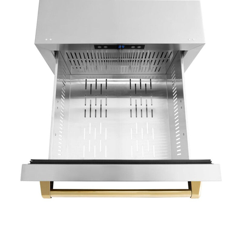 ZLINE Autograph Edition 24 in. Touchstone 168 Can Outdoor-Rated Dual Refrigerator Drawer with Stainless Steel Doors and Polished Gold Handles (RDSOZ-ST-24-G) - (RDSOZST24G) -