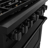 36 in. 5.2 cu. ft. Paramount Dual Fuel Range with Gas Cooktop and Electric Convection Oven - (SDRBBR36) -