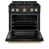 Autograph Edition 30 in. 4.2 cu. ft. Paramount Dual Fuel Range with 4 Burner Gas Cooktop and Electric Convection Oven - (SDRBZ30G) -