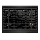 Autograph Edition 36 in. 5.2 cu. ft. Paramount Dual Fuel Range with 6 Burner Gas Cooktop and Electric Convection Oven - (SDRBZ36G) -