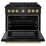 Autograph Edition 36 in. 5.2 cu. ft. Paramount Dual Fuel Range with 6 Burner Gas Cooktop and Electric Convection Oven - (SDRBZ36G) -