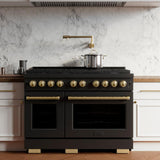Autograph Edition 48 in. 6.7 cu. ft. Paramount Double Oven Dual Fuel Range with 8 Burner Gas Cooktop - (SDRBZ48G) -