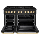 Autograph Edition 48 in. 6.7 cu. ft. Paramount Double Oven Dual Fuel Range with 8 Burner Gas Cooktop - (SDRBZ48G) -
