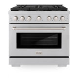 36 in. 5.2 cu. ft. Paramount Dual Fuel Range with Gas Cooktop and Electric Convection Oven - (SDRSBR36) -