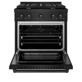 30in. 4.2 cu. ft. 4 Burner Gas Range with Convection Gas Oven in Black Stainless Steel - (SGRB30) -