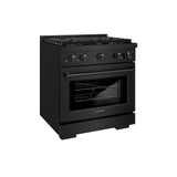 30in. 4.2 cu. ft. Gas Range with Convection Gas Oven in Black Stainless Steel with 4 Brass Burners - (SGRBBR30) -