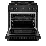 30in. 4.2 cu. ft. Gas Range with Convection Gas Oven in Black Stainless Steel with 4 Brass Burners - (SGRBBR30) -