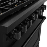 36in. 5.2 cu. ft. Gas Range with Convection Gas Oven in Black Stainless Steel with 6 Brass Burners - (SGRBBR36) -