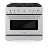 36in. 5.2 cu. ft. Gas Range with Convection Gas Oven in Stainless Steel with 6 Brass Burners - (SGRBR36) -