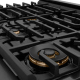 FreestandingRange - (SGRBZ48CB) -
