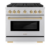 AutographEdition 36 in. 5.2 cu. ft. 6 Burner Gas Range with Convection Gas Oven in Stainless Steel and Polished Gold Accents - (SGRZ36G) -
