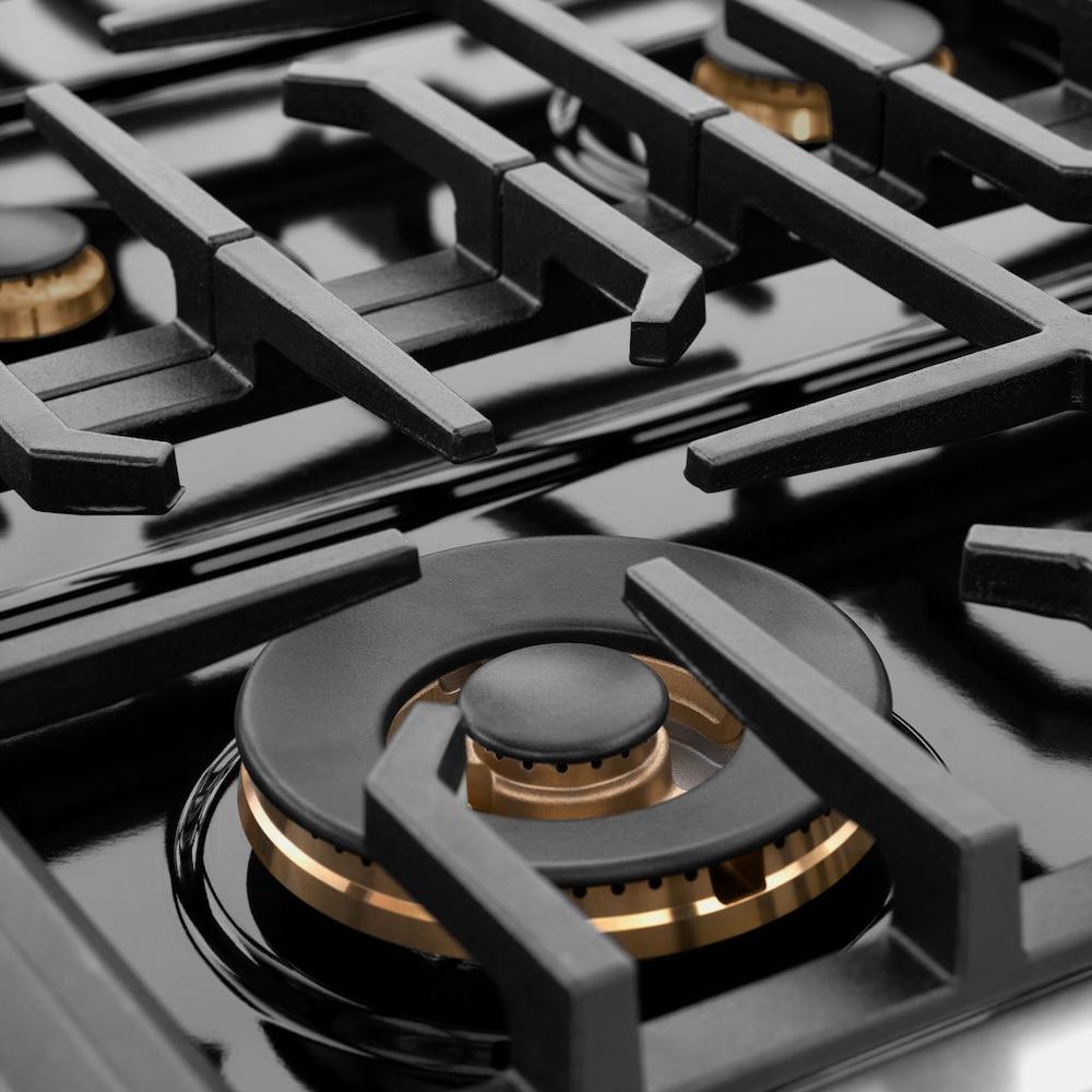 Autograph Edition 48 in. 6.7 cu. ft. 8 Burner Double Oven Gas Range - (SGRZBLM48CB) -
