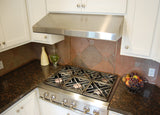48" - Stainless Steel Under Cabinet Hood - (WS3248SS)