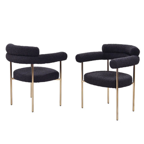 Upholstered Accent Dining Chairs With Armrests (Set of 2)
