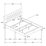Lexie - Tufted Panel Bedroom Set